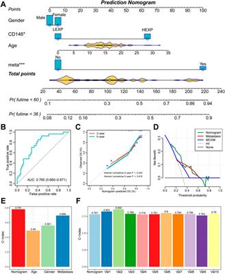 CD146 is closely associated with the prognosis and molecular features of osteosarcoma: Guidance for personalized clinical treatment